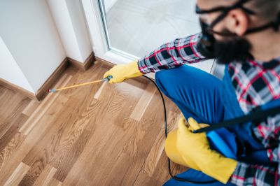 Mole Pest Control Service
